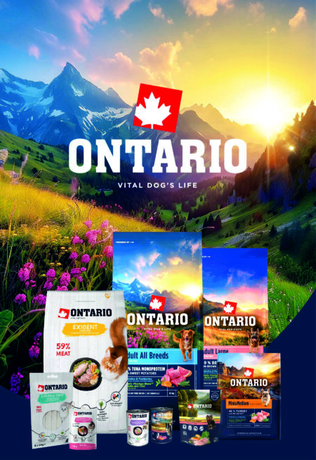 Ontario CAT